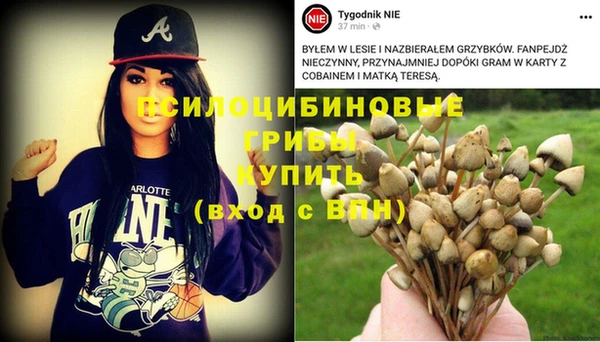 скорость Бронницы