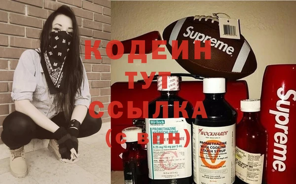 соль ск Бородино