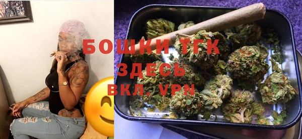 соль ск Бородино