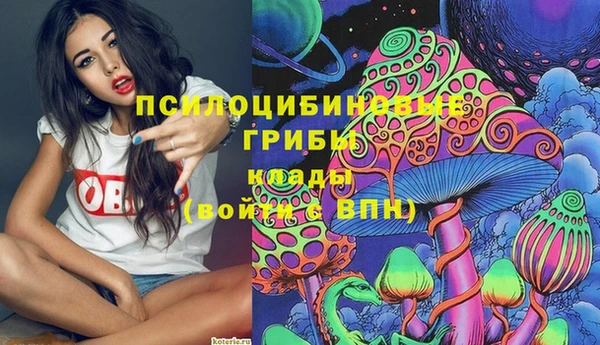 соль ск Бородино