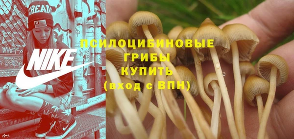 mdpv Бугульма