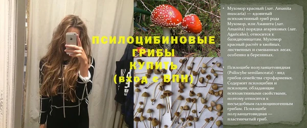 mdpv Бугульма