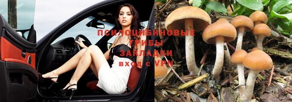 скорость Бронницы