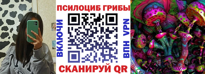 Галлюциногенные грибы Magic Shrooms  где продают   Кизляр 