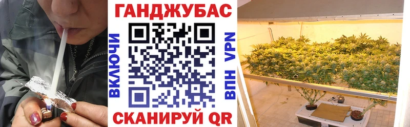 Каннабис планчик  Кизляр 